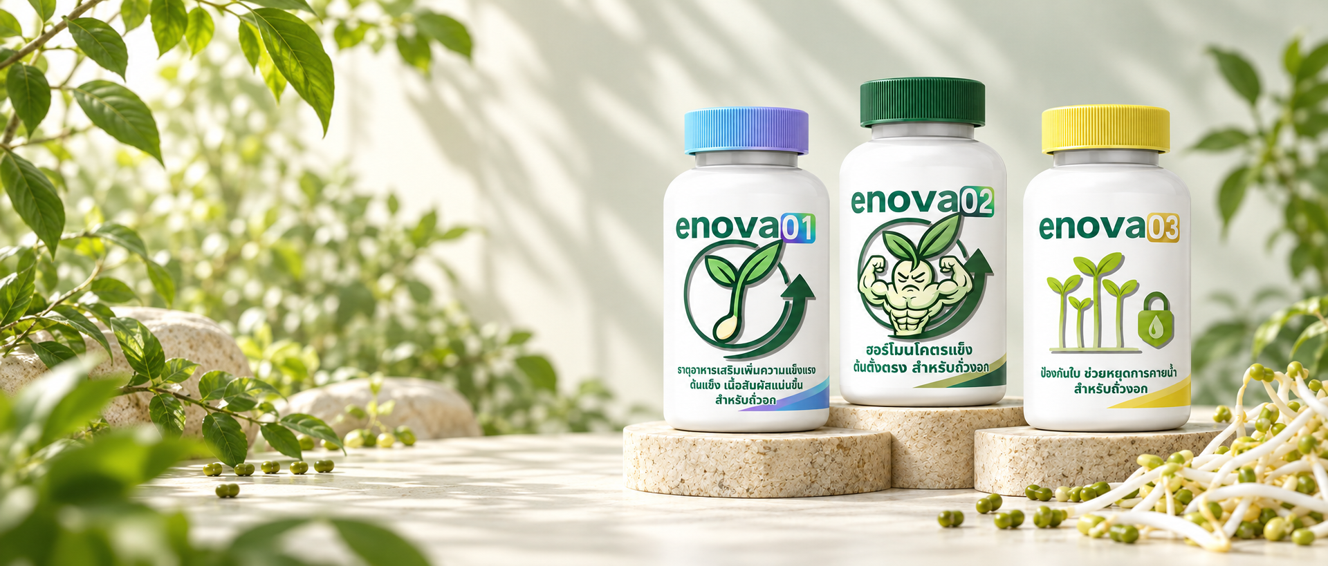 สินค้า ENOVA01, ENOVA02 และ ENOVA03 บนแท่นหิน ท่ามกลางบรรยากาศธรรมชาติ